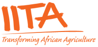 IITA